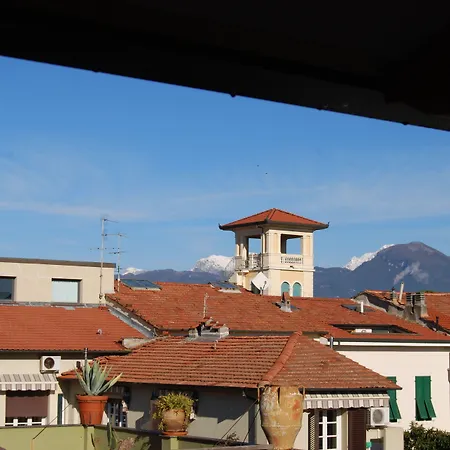 Burlamacco Gold-3